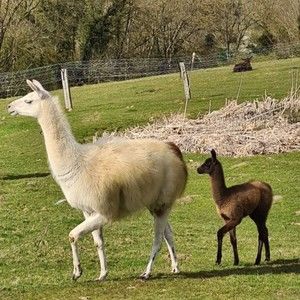 Meet your Posher, Roberta